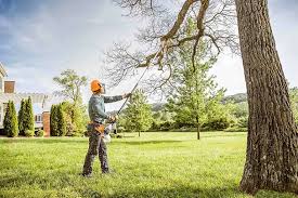 Best Tree Preservation Services  in Massanutten, VA